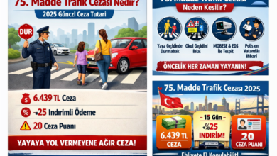 75. Madde Trafik Cezası Nedir? 2025 Güncel Ceza Tutarı